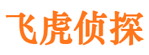 安新侦探公司